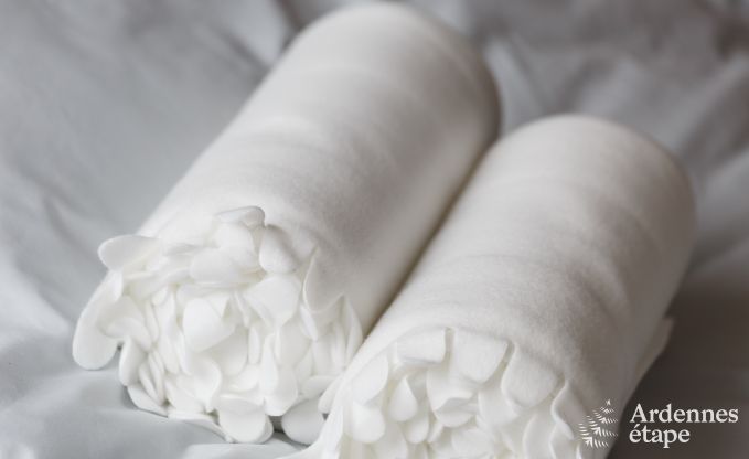 Luxe villa in La Roche voor 9 personen in de Ardennen