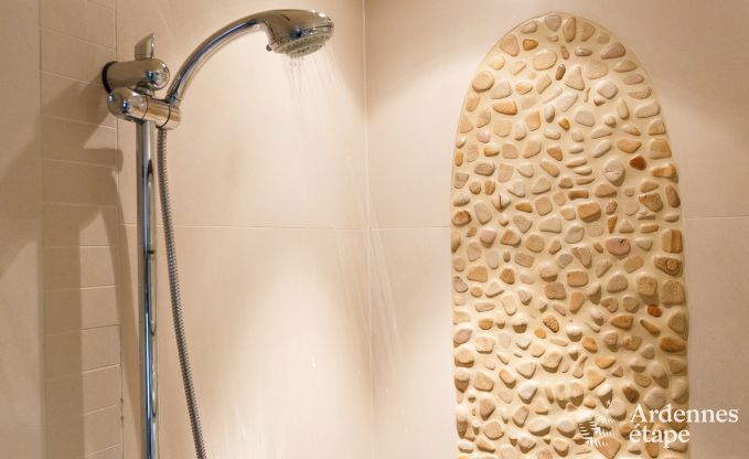 Luxe villa in La Roche voor 9 personen in de Ardennen