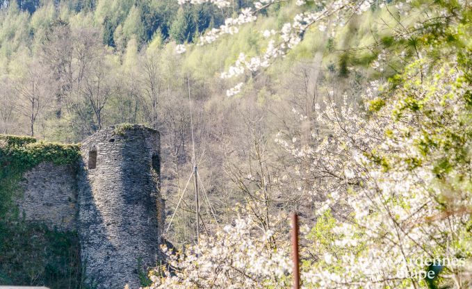 Vakantiehuis in La Roche voor 5 personen in de Ardennen