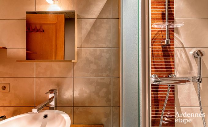 Vakantiehuis in La Roche voor 12 personen in de Ardennen