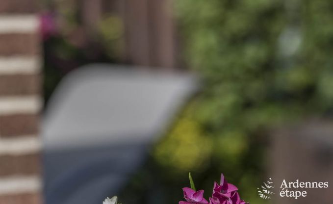 Vakantiehuis in La Roche voor 6 personen in de Ardennen