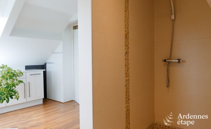 Luxe villa in La Roche voor 9 personen in de Ardennen