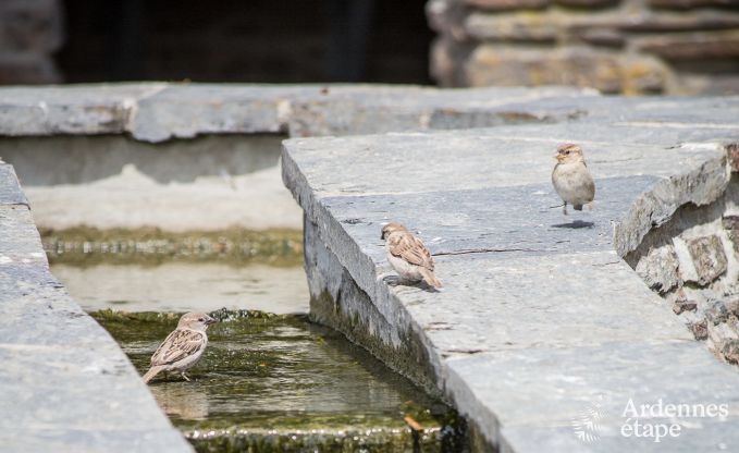 Vakantiehuis in La Roche voor 8 personen in de Ardennen