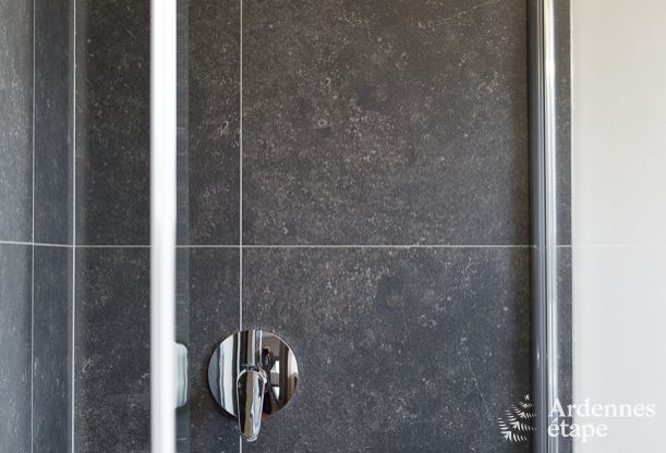 Vakantiehuis in Lavaux-Sainte-Anne voor 15 personen in de Ardennen