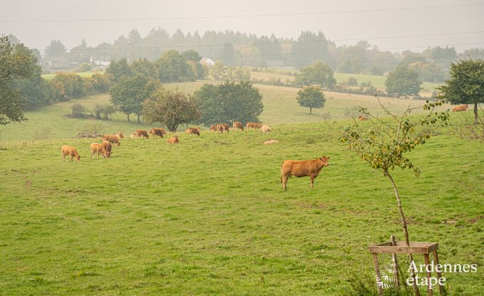 Charmante tiny house voor 4 personen in Lglise met kitchenette, houtkachel en privtuin