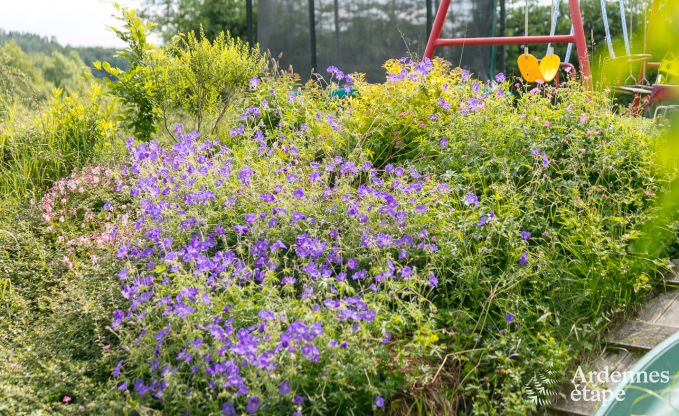 Vakantiehuis in L�glise voor 15 personen in de Ardennen