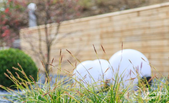 Vakantiehuis in Leglise voor 12/14 personen in de Ardennen