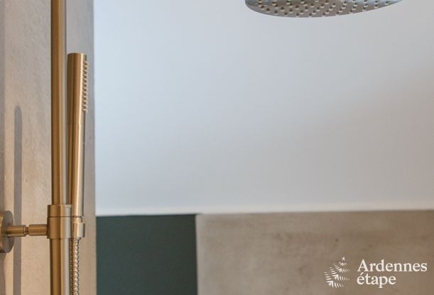 Vakantiehuis in Leglise voor 12/14 personen in de Ardennen