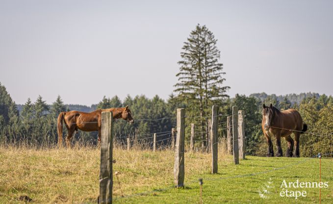 Vakantiehuis in Lglise voor 4 personen in de Ardennen