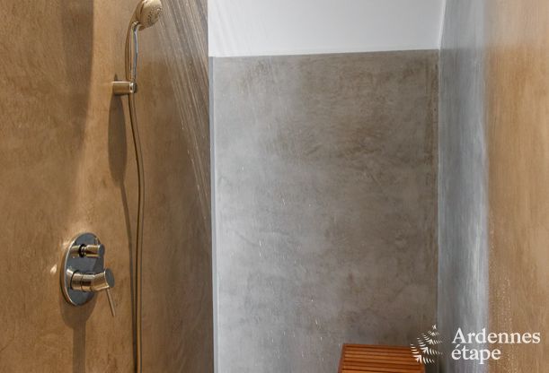 Vakantiehuis in Leglise voor 12/14 personen in de Ardennen