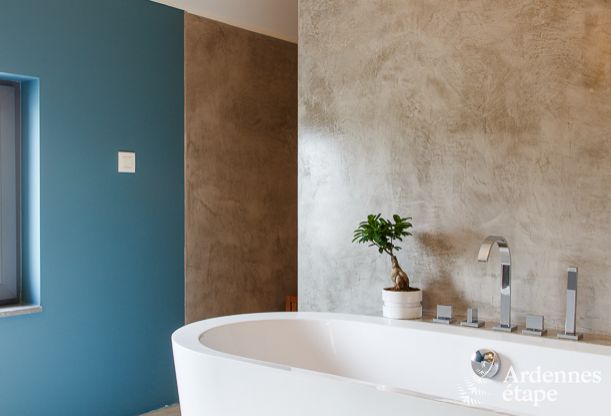 Vakantiehuis in Leglise voor 12/14 personen in de Ardennen