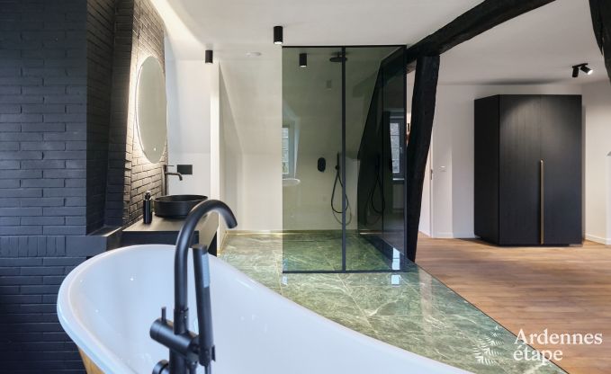 Kasteel in Libin: elegant verblijf voor 40 personen met uitgebreide voorzieningen