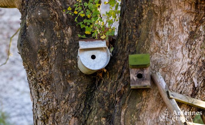 Vakantiehuis in Libin voor 2 personen in de Ardennen