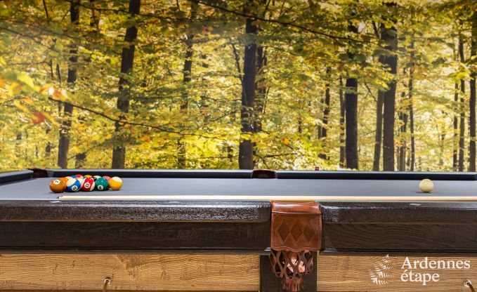 Vakantiehuis in Libin voor 12 personen in de Ardennen