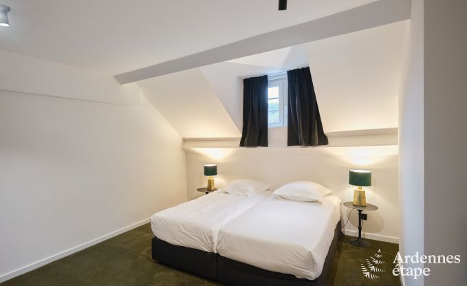 Kasteel in Libin: elegant verblijf voor 40 personen met uitgebreide voorzieningen