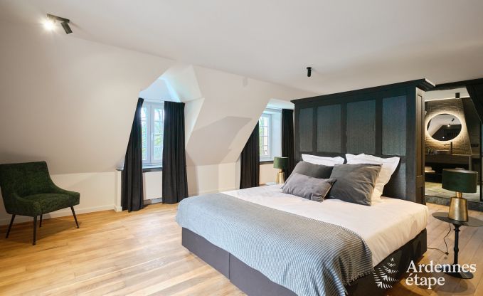 Kasteel in Libin: elegant verblijf voor 40 personen met uitgebreide voorzieningen