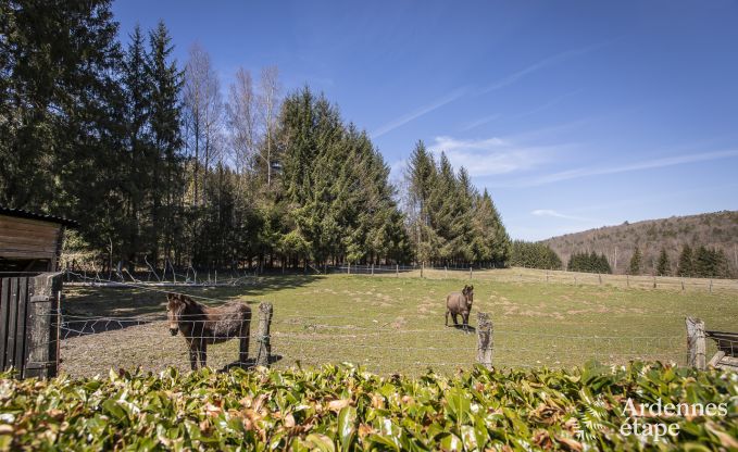 Luxe villa in Libin voor 27 personen in de Ardennen
