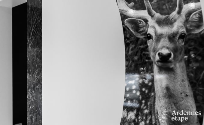 Vakantiehuis in Libin voor 11/14 personen in de Ardennen