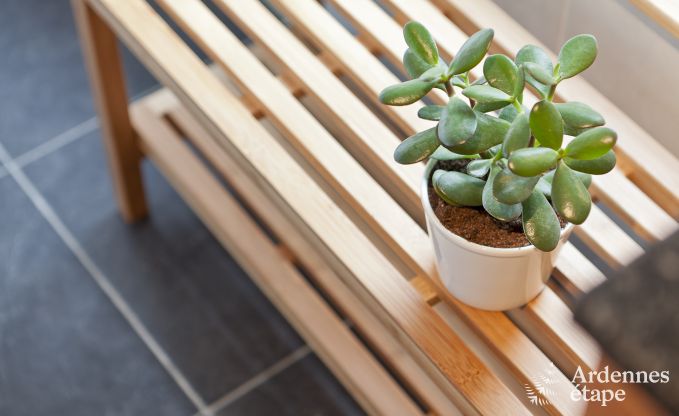 Vakantiehuis in Libramont (Freux) voor 6 personen in de Ardennen