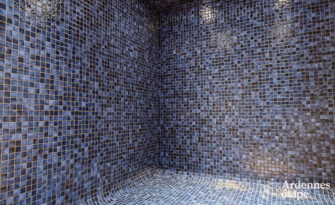 Vakantiehuis in Libramont-Chevigny voor 7/9 personen in de Ardennen