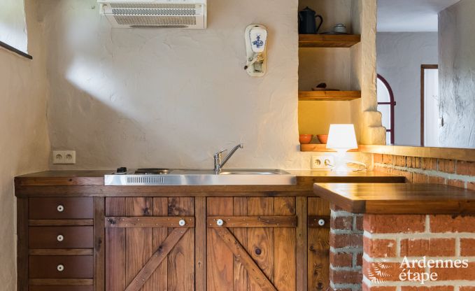 Groot vakantiehuis in Libramont-Chevigny, 42 personen, 15 slaapkamers, speelkamer, tuin met barbecue, gelegen in de Ardennen