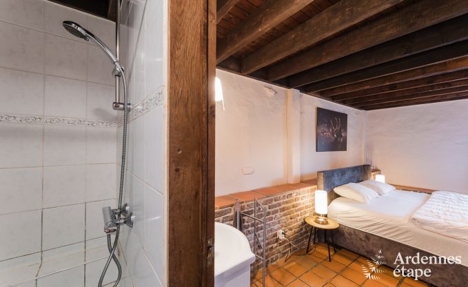 Groot vakantiehuis in Libramont-Chevigny, 42 personen, 15 slaapkamers, speelkamer, tuin met barbecue, gelegen in de Ardennen