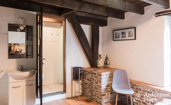 Groot vakantiehuis in Libramont-Chevigny, 42 personen, 15 slaapkamers, speelkamer, tuin met barbecue, gelegen in de Ardennen