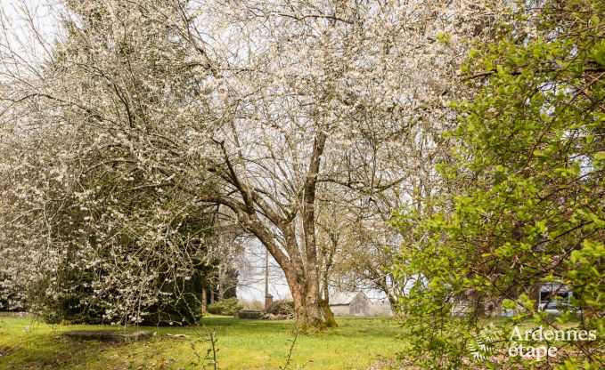 Groot vakantiehuis in Libramont-Chevigny, 42 personen, 15 slaapkamers, speelkamer, tuin met barbecue, gelegen in de Ardennen