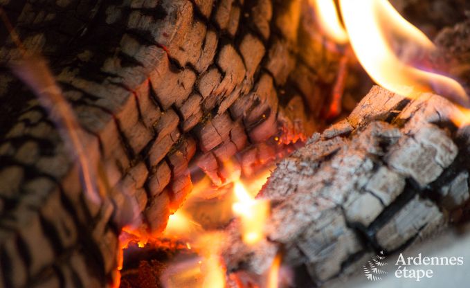 Cottage in Libramont-Chevigny voor 9 personen in de Ardennen
