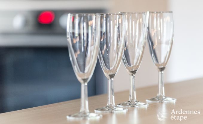 Cottage in Libramont-Chevigny voor 9 personen in de Ardennen