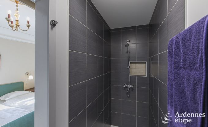 Kasteel in Libramont-Chevigny voor 48 personen in de Ardennen