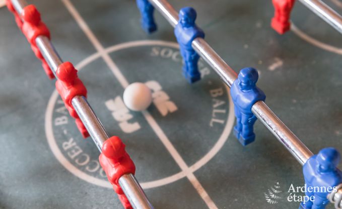 Vakantiehuis in Libramont-Chevigny voor 42 personen in de Ardennen