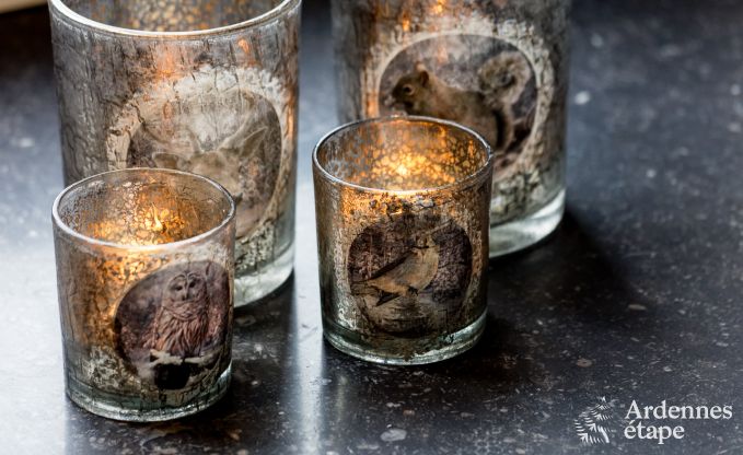 Vakantiehuis in Libramont-Chevigny voor 9 personen in de Ardennen