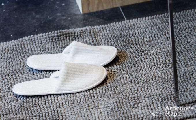 Vakantiehuis in Libramont-Chevigny voor 9 personen in de Ardennen