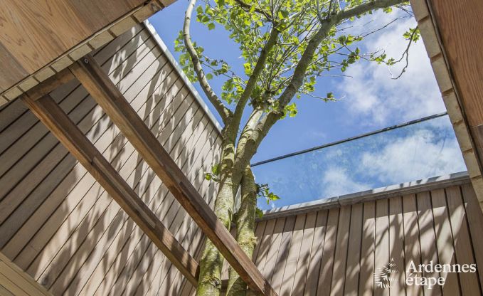 Vakantiewoning voor 15 personen in Libramont met binnenzwembad, sauna en privtuin aan het water