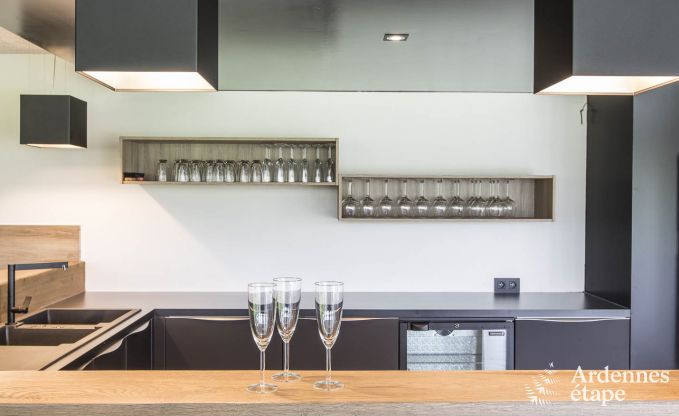 Vakantiewoning voor 15 personen in Libramont met binnenzwembad, sauna en privtuin aan het water