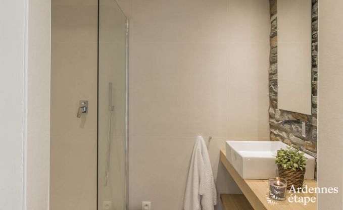 Vakantiewoning voor 15 personen in Libramont met binnenzwembad, sauna en privtuin aan het water