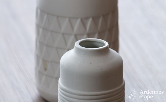 Vakantie op de boerderij in Libramont voor 6/7 personen in de Ardennen