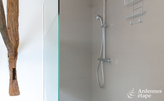 Vakantie op de boerderij in Libramont voor 12/14 personen in de Ardennen