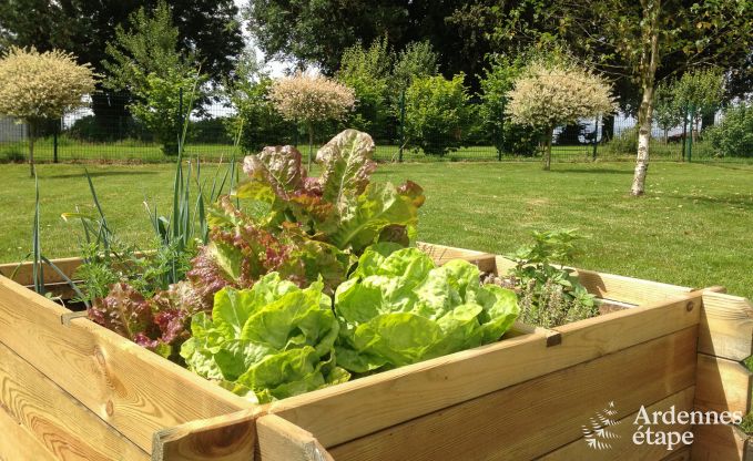 Vakantiehuis in Libramont voor 4/5 personen in de Ardennen