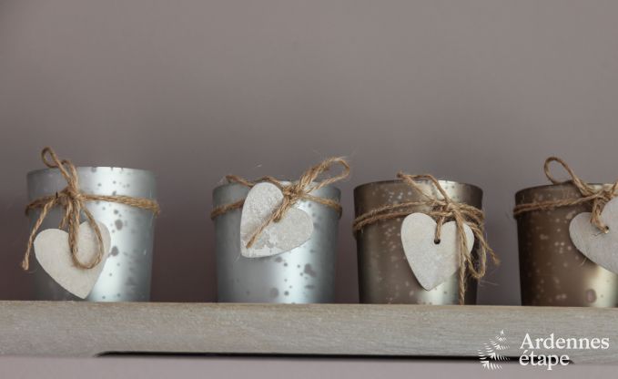 Vakantiehuis in Libramont voor 2/3 personen in de Ardennen