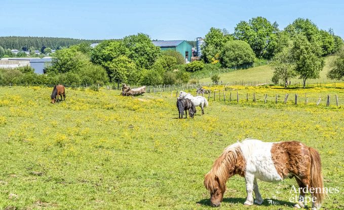 Vakantiehuis in Libramont voor 6/8 personen in de Ardennen