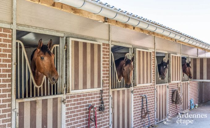 Vakantiehuis in Libramont voor 6/8 personen in de Ardennen