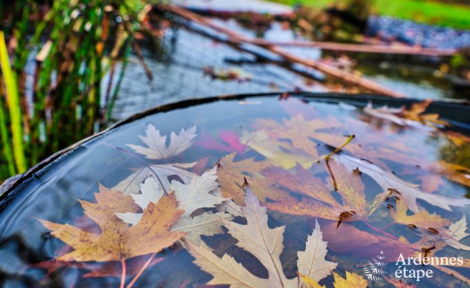 Vakantiehuis in Libramont voor 6 personen in de Ardennen