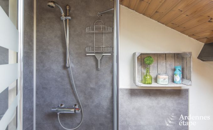 Vakantiehuis in Libramont voor 4/5 personen in de Ardennen