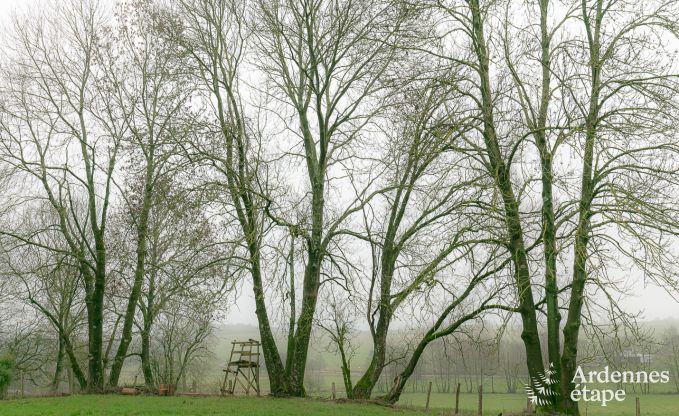 Vakantiehuis in Libramont voor 3 personen in de Ardennen
