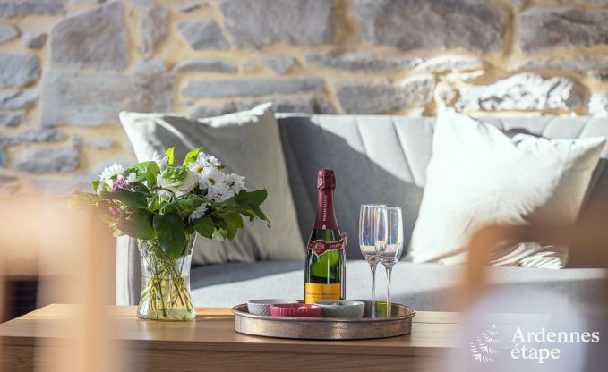 Vakantiehuis in Libramont voor 10 personen met priv�terras en 6 slaapkamers