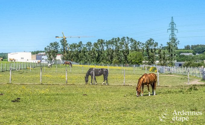 Vakantiehuis in Libramont voor 4/6 personen in de Ardennen