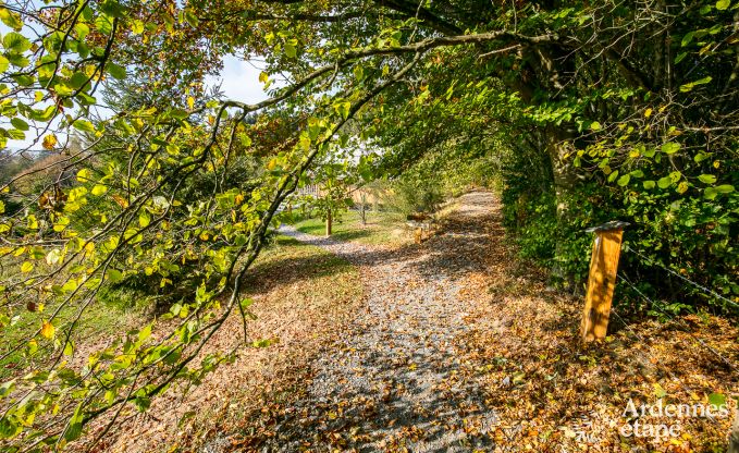 Buitengewoon in Lierneux voor 4/5 personen in de Ardennen