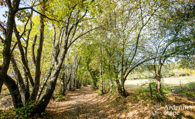 Buitengewoon in Lierneux voor 4/5 personen in de Ardennen